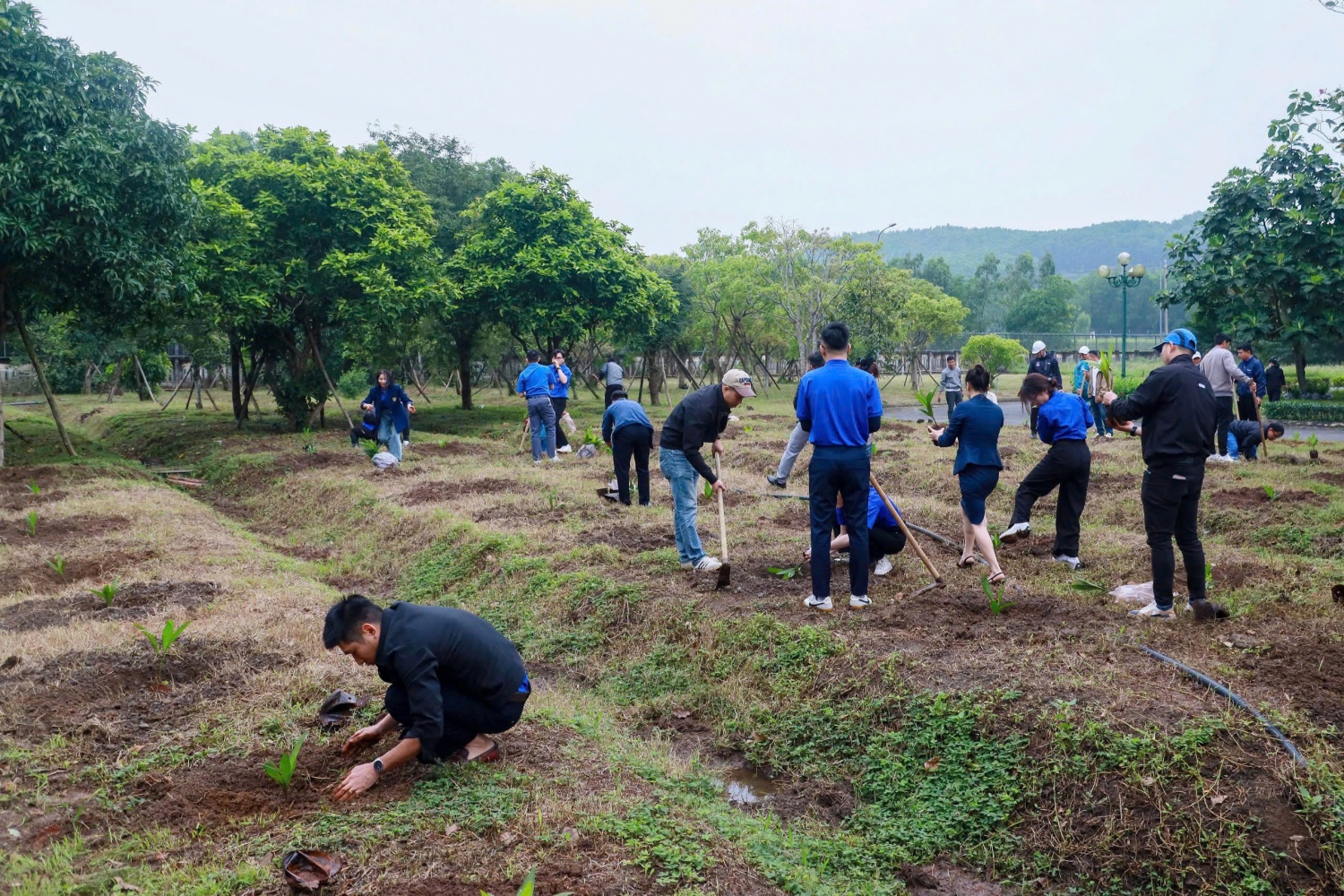 Tuổi trẻ PTSC Quảng Ngãi lan tỏa thông điệp hành động và trách nhiệm cộng đồng