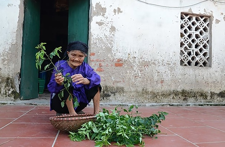 Nhớ về những người mẹ Việt Nam Anh hùng