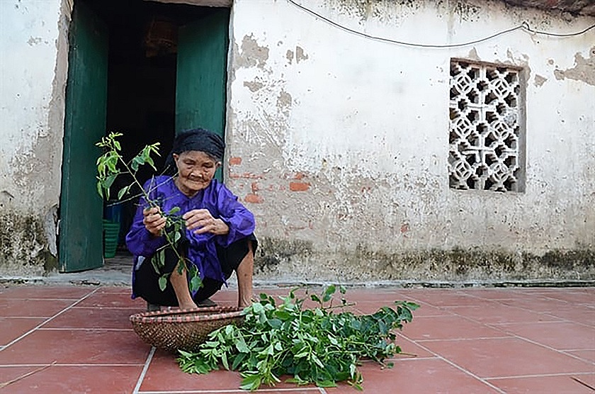 Nhớ về những người mẹ Việt Nam Anh hùng