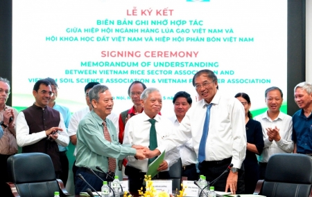 Hợp tác phát triển bền vững ngành hàng lúa gạo quốc gia
