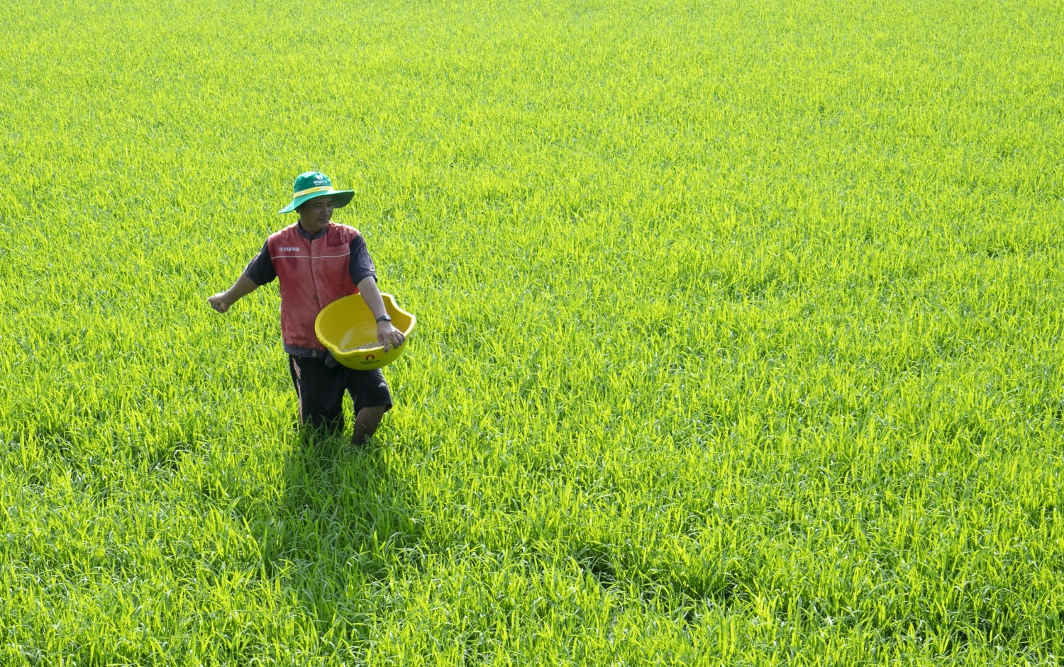 PVCFC triển khai cụm công trình ứng dụng khoa học công nghệ hướng đến mục tiêu phát triển bền vững