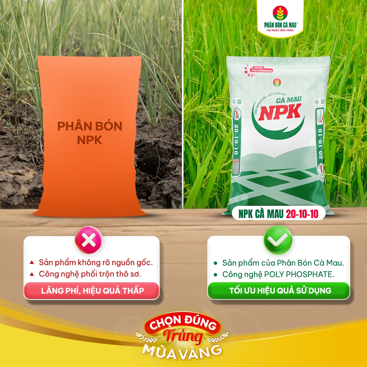 NPK Cà Mau 20-10-10: Chọn đúng, trúng “mùa vàng” với tổng giá trị trên 21 tỷ đồng