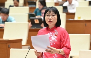 Tăng mức phạt hành chính cần dựa trên thực tế thu nhập của người dân