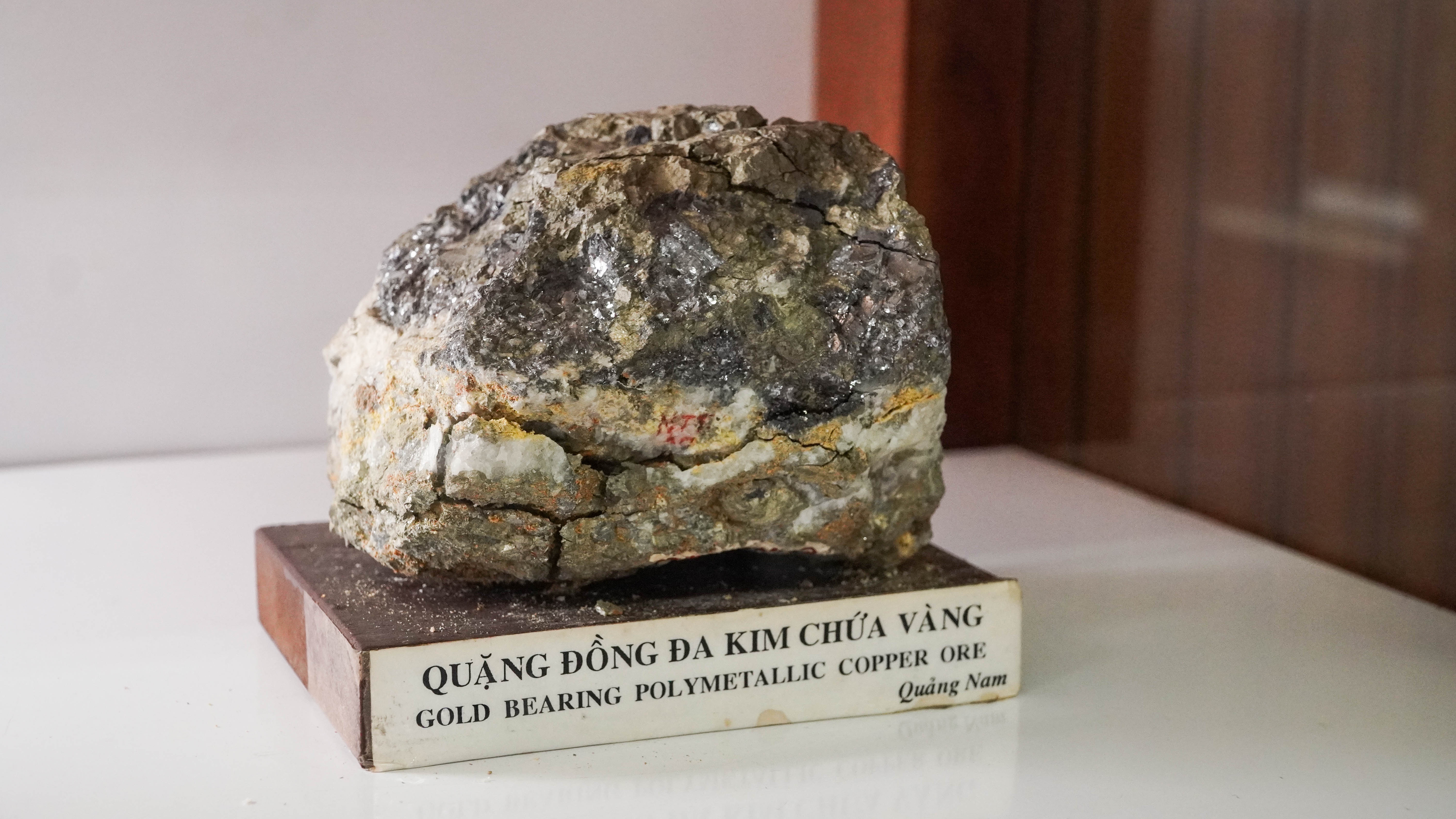 [Chùm ảnh] Bảo tàng Địa chất: Hành trình hàng triệu năm được kể bằng đá, hóa thạch và dầu thô
