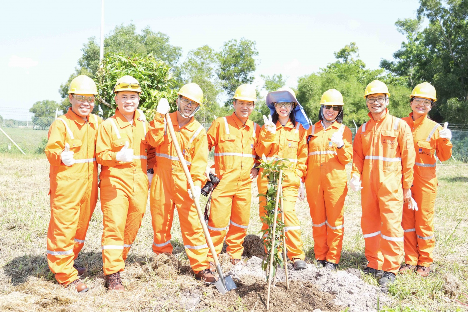 NCSP và PV GAS D chung tay phủ xanh không gian sống NCSP và PV GAS D chung tay phủ xanh không gian sống