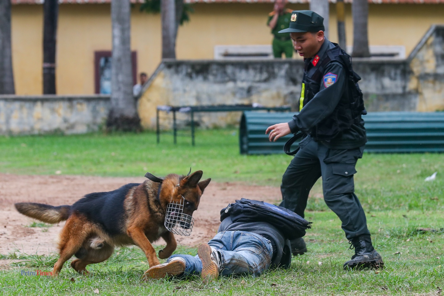 [Chùm ảnh] Mãn nhãn màn diễn tập của lực lượng cảnh khuyển