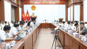 Hải Phòng: Tập trung nguồn lực, tháo gỡ vướng mắc mặt bằng các dự án truyền tải điện