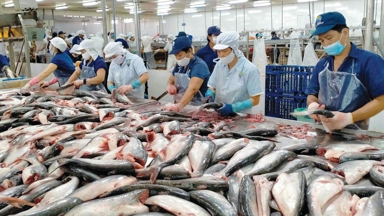 Các DN thủy sản cần quan tâm, khai thác tốt hơn thị trường nội địa
