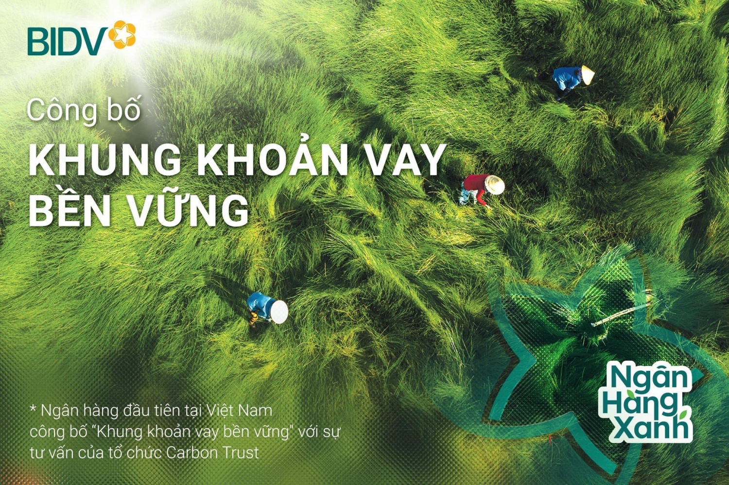 BID vào top 20 cổ phiếu phát triển bền vững nhất Việt Nam lần thứ II liên tiếp