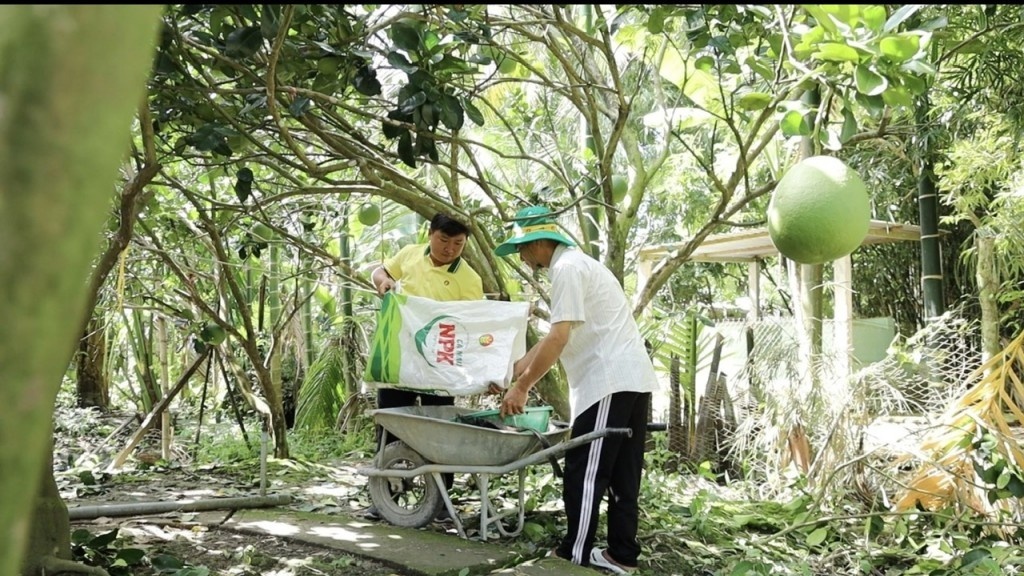 PVCFC: Tăng trưởng vượt kế hoạch, cổ phiếu DCM hưởng lợi từ thương vụ M&A KVF