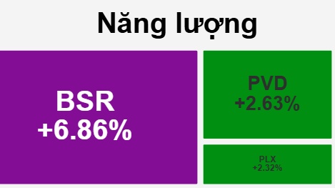 BSR "tím trần" trong phiên VN-Index lập đỉnh thời đại