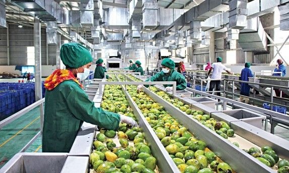 Bộ Công Thương đề xuất 5 nhóm nhiệm vụ ứng phó chính sách thuế quan của Hoa Kỳ