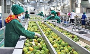 Bộ Công Thương đề xuất 5 nhóm nhiệm vụ ứng phó chính sách thuế quan của Hoa Kỳ