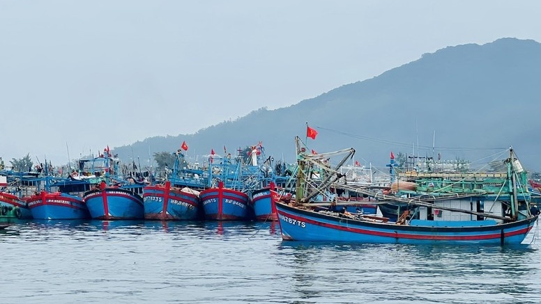 Xử lý nghiêm "tàu ma", tàu mất kết nối VMS: Gỡ khó quản lý đội tàu cá