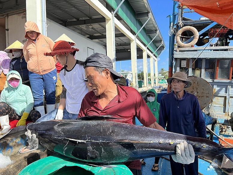 Xử lý nghiêm 