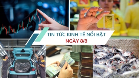 Tin tức kinh tế ngày 8/8: VN-Index lập đỉnh lịch sử mới