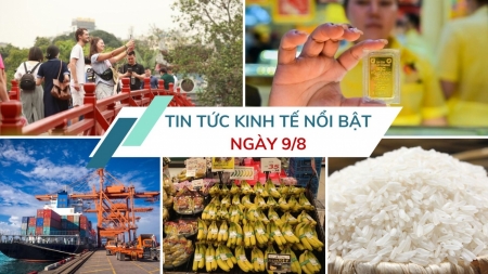 Tin tức kinh tế ngày 9/8: Thu ngân sách xuất nhập khẩu 7 tháng đạt gần 64% dự toán
