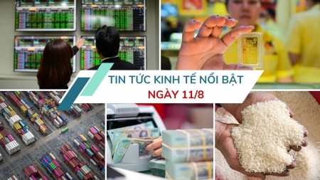 Tin tức kinh tế ngày 11/8: Chứng khoán liên tiếp lập đỉnh lịch sử