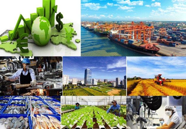 Tin tức kinh tế ngày 13/8: Gạo Việt lội ngược dòng giữa áp lực dư cung toàn cầu