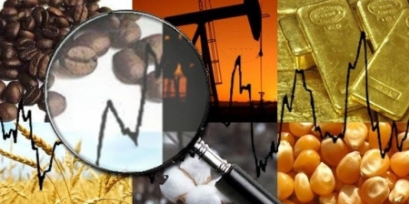 Tin tức kinh tế ngày 15/8: Giá cà phê tăng “chóng mặt”