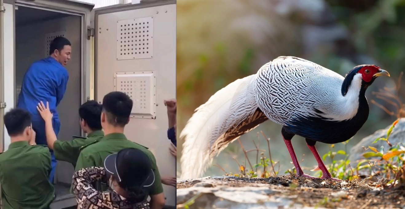Lời kêu oan đã thấu “Trời”