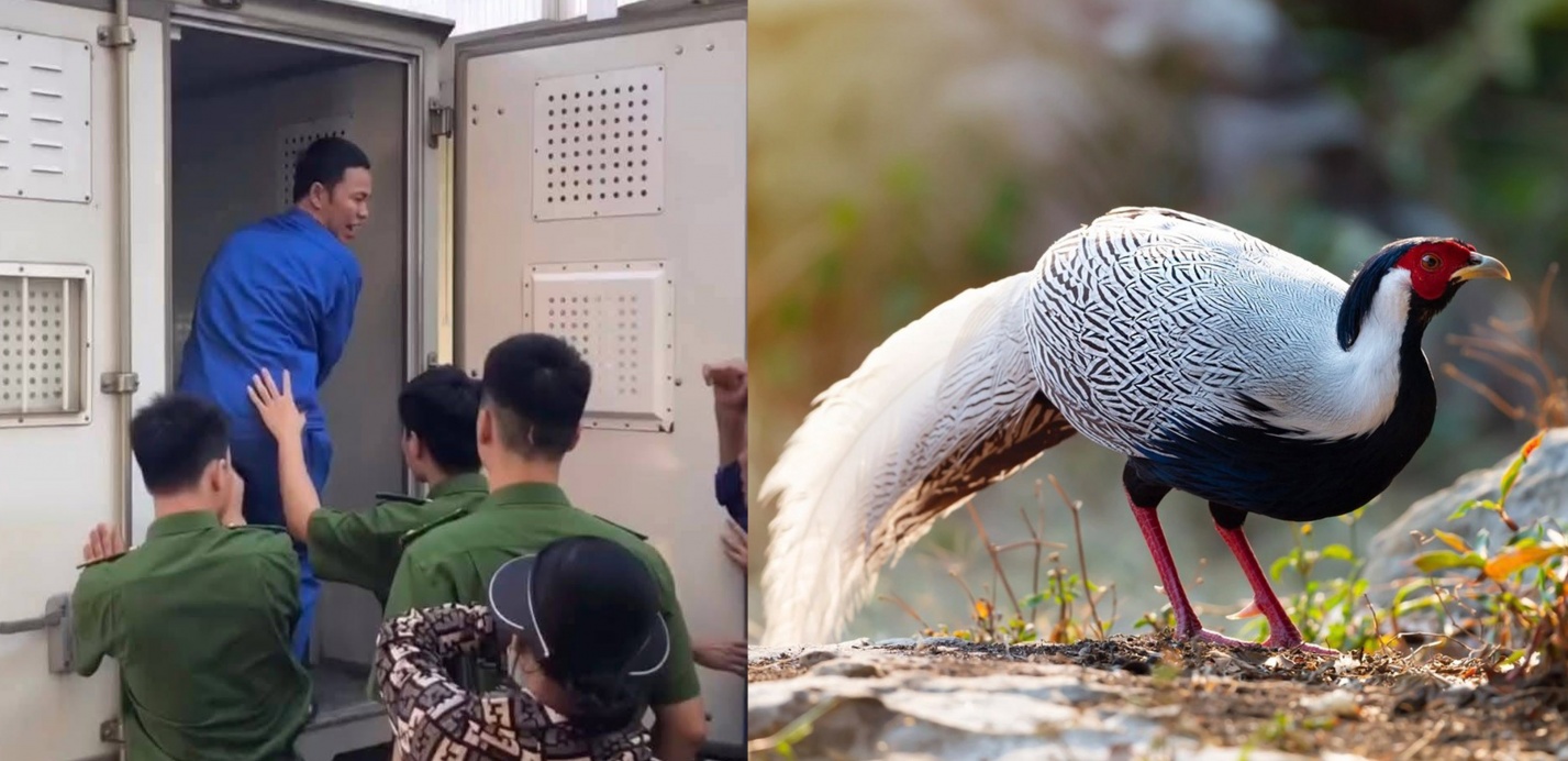 Lời kêu oan đã thấu “Trời”