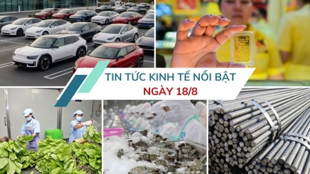 Tin tức kinh tế ngày 18/8: Xuất khẩu rau quả ghi nhận tín hiệu phục hồi rõ nét