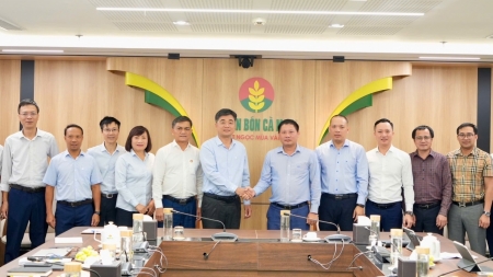 PVCFC và BSR tăng cường hợp tác chiến lược: Mở rộng sang lĩnh vực quản trị và M&A chuỗi giá trị khâu sau