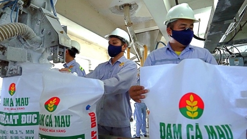 Điểm sáng ngành phân bón quý II/2025: DPM và DCM bứt phá