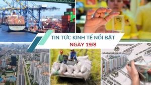 Tin tức kinh tế ngày 19/8: Phát hành trái phiếu doanh nghiệp giảm gần 65%