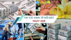 Tin tức kinh tế ngày 20/8: Tỷ giá ngân hàng chạm mốc kỷ lục mới