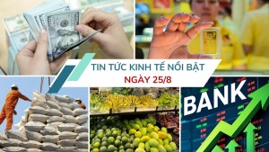 Tin tức kinh tế ngày 25/8: Cổ phiếu ngân hàng đồng loạt lao dốc