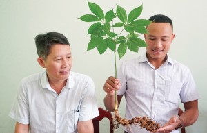 Chuyện về những người soi sâm