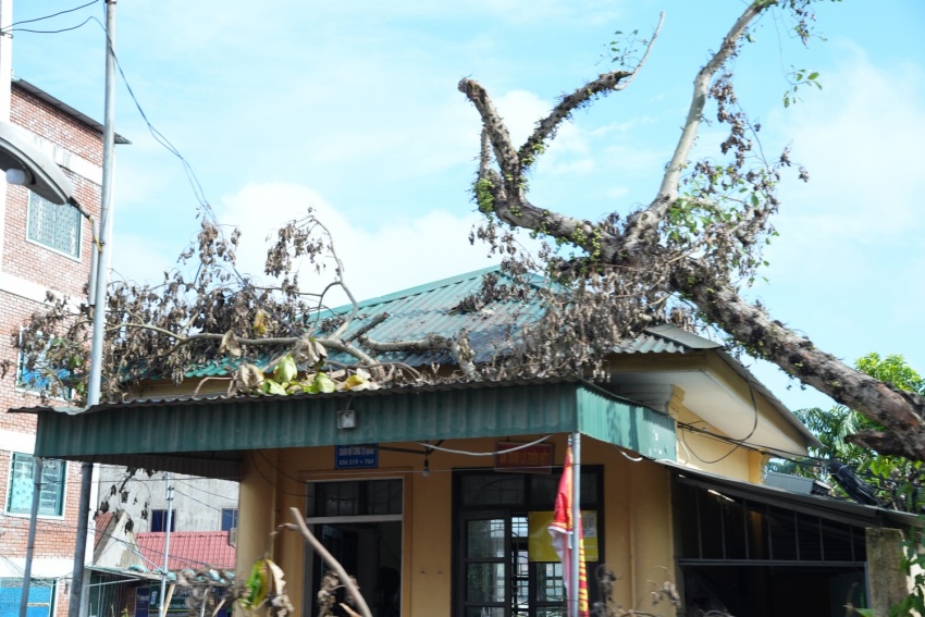 Công đoàn Petrovietnam cùng các đơn vị khắc phục thiệt hại tại các tỉnh sau bão số 5 Công đoàn Petrovietnam cùng các đơn vị khắc phục thiệt hại tại các tỉnh sau bão số 5