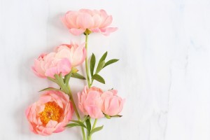 Tử vi tuần mới (1-7/9/2025): Tuổi Thân bước tiến rõ rệt, tuổi Dậu khẳng định uy tín