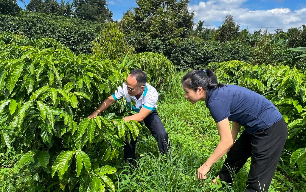 PVFCCo – Phú Mỹ: 21 năm bền bỉ truyền thống sáng tạo, gắn kết và sẻ chia