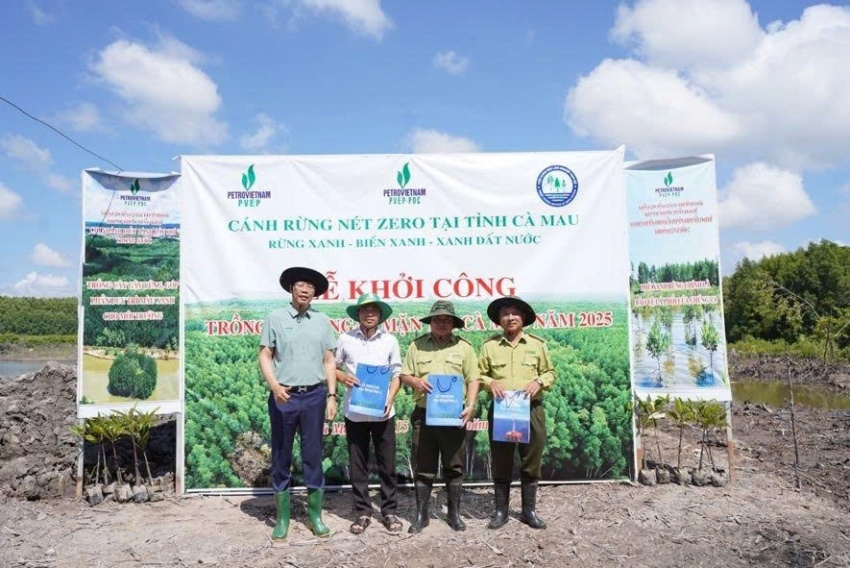 PVEP POC khẳng định quyết tâm Net Zero bằng hành động trồng rừng thiết thực