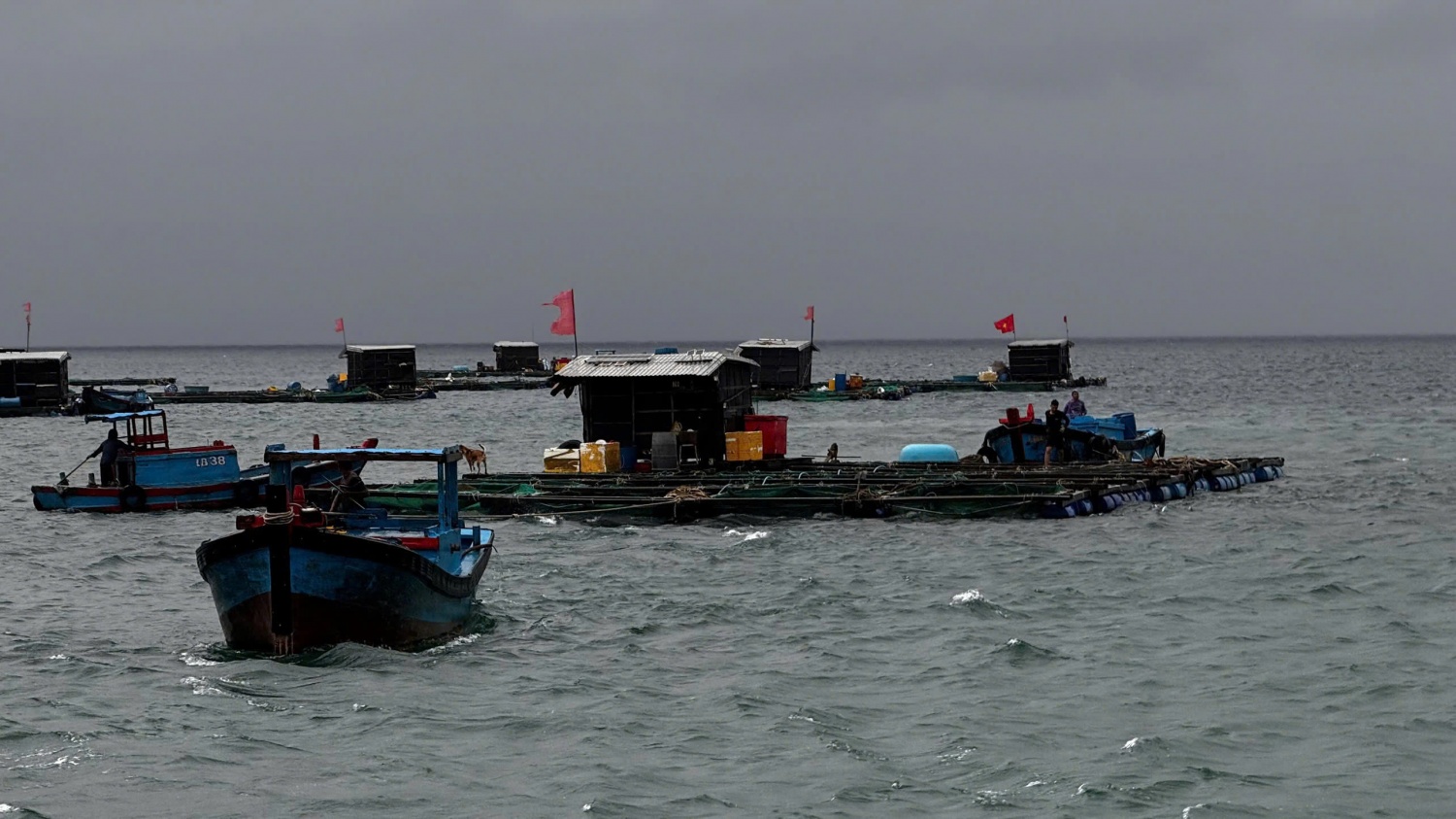 Quảng Ngãi: Đặc khu Lý Sơn khuyến cáo người dân ứng phó với bão số 12