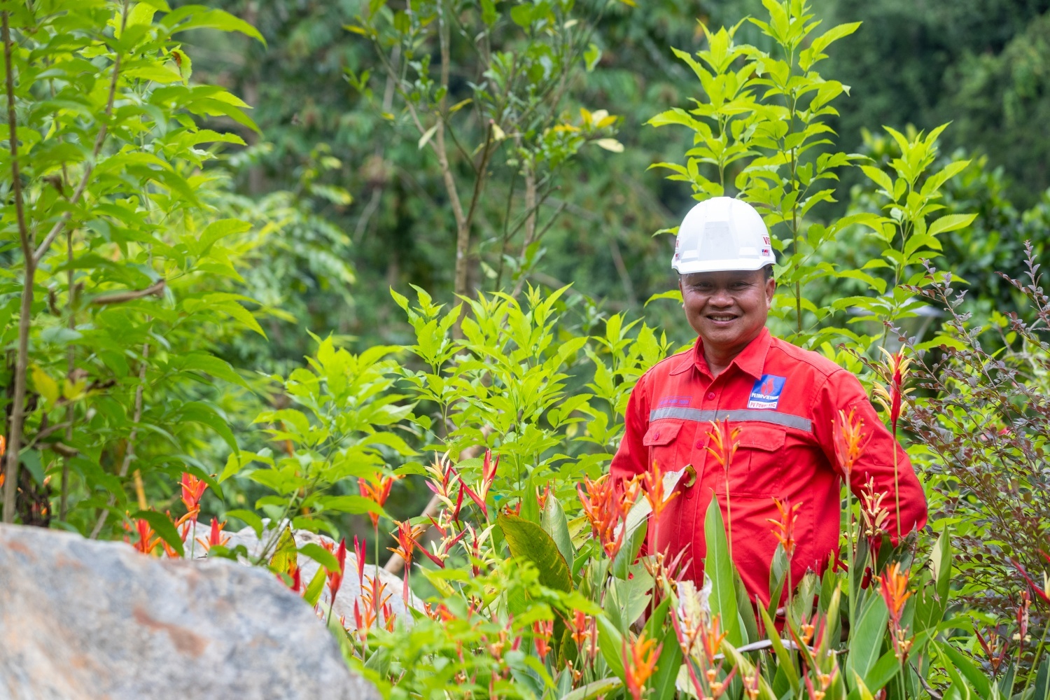 Họ đã ở Hủa Na như thế Họ đã ở Hủa Na như thế