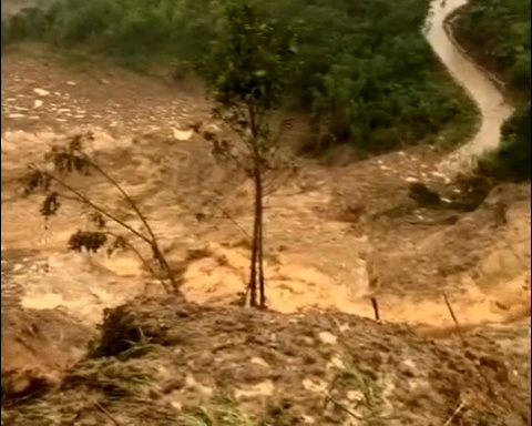 Quảng Ngãi: Hơn 5.000 ngôi nhà bị ngập, thiệt hại hơn 314 tỷ đồng do mưa lũ, sạt lở đất