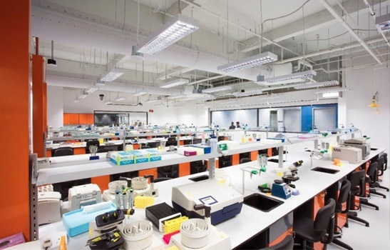 Giáo dục STEM tại Singapore: Tầm quan trọng chiến lược