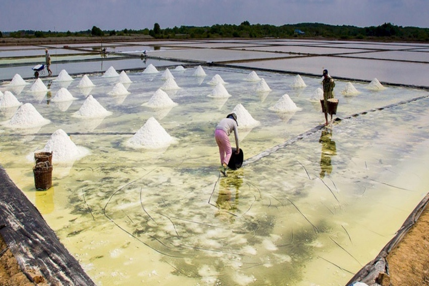 TP HCM phát động Cuộc thi viết về Nghề, Làng nghề truyền thống 2025