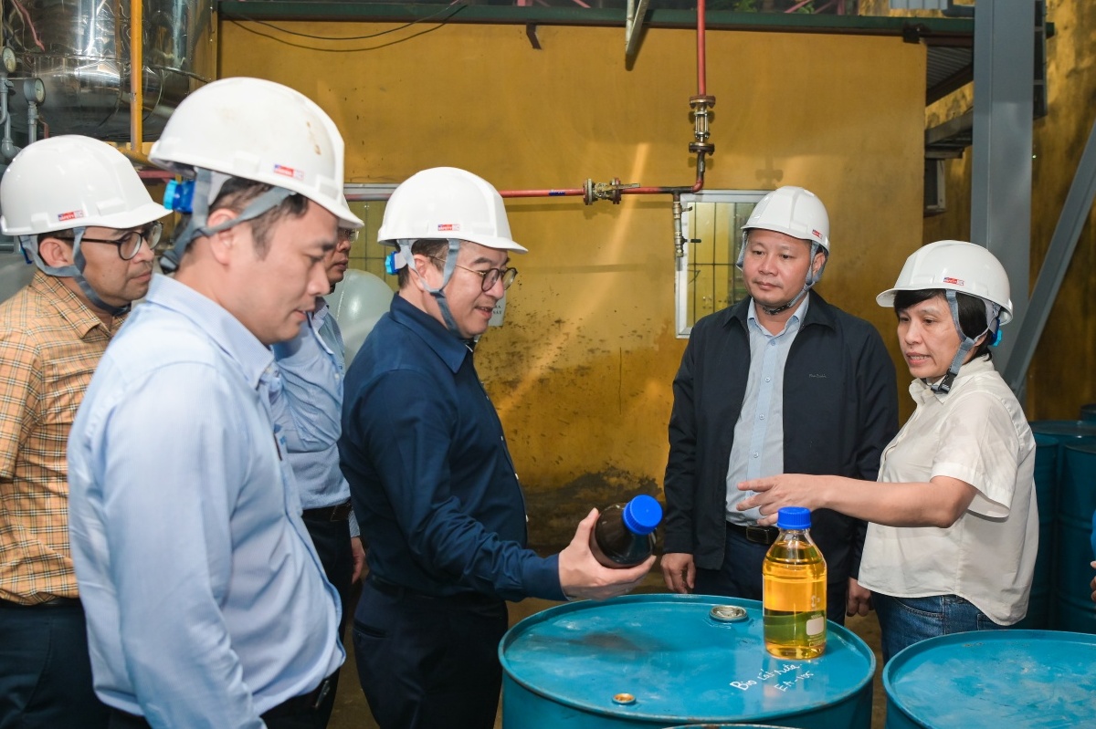 BSR đẩy nhanh tiến độ nghiên cứu nhiên liệu dầu diesel sinh học