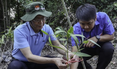 “Triệu bước chân - Ươm mầm bền vững”: Petrovietnam trồng 4.000 cây phục hồi rừng ngập mặn tại Cà Mau