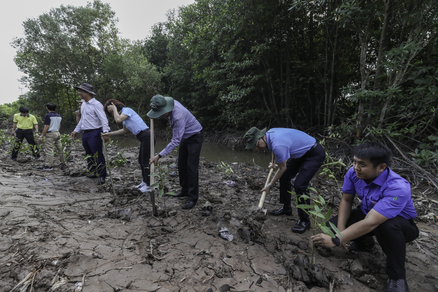 “Triệu bước chân – Ươm mầm bền vững”: Petrovietnam trồng 4.000 cây rừng ngập mặn tại Cà Mau