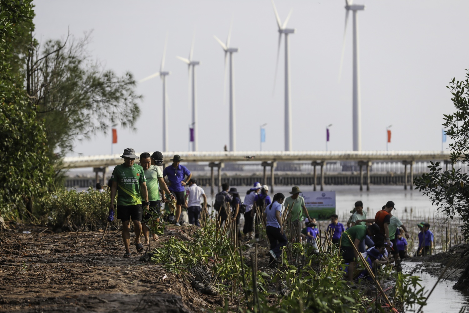 “Triệu bước chân – Ươm mầm bền vững”: Petrovietnam trồng 4.000 cây rừng ngập mặn tại Cà Mau