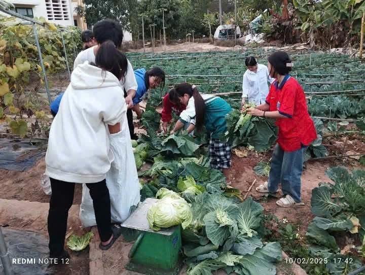 Petrovietnam đầu tư phòng STEM cho Điện Biên: Cơ hội thu hẹp khoảng cách giáo dục vùng cao Petrovietnam đầu tư phòng STEM cho Điện Biên: Cơ hội thu hẹp khoảng cách giáo dục vùng cao