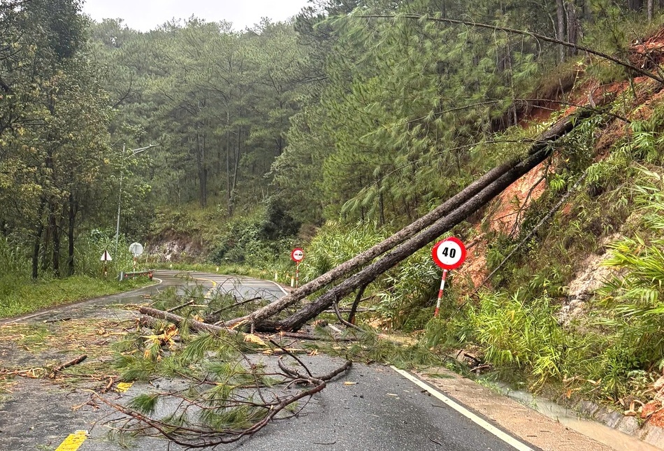 Đèo Mimosa, Prenn, D'ran ở Lâm Đồng tiếp tục sạt lở do mưa lớn