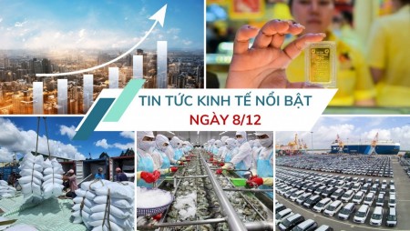 Tin tức kinh tế ngày 8/12: Sản lượng ô tô nội địa bứt phá