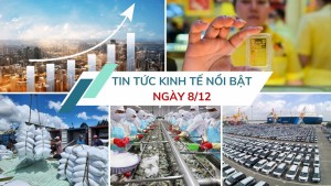 Tin tức kinh tế ngày 8/12: Sản lượng ô tô nội địa bứt phá